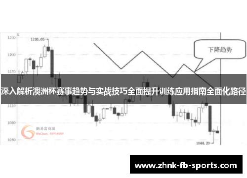 深入解析澳洲杯赛事趋势与实战技巧全面提升训练应用指南全面化路径