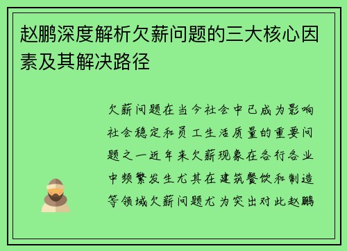 赵鹏深度解析欠薪问题的三大核心因素及其解决路径